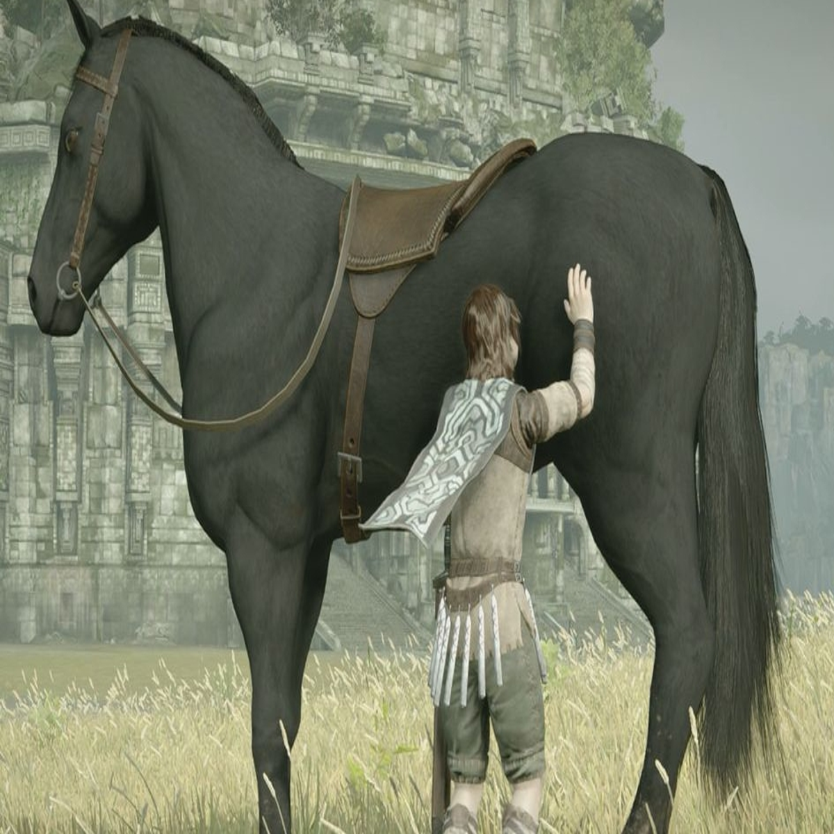 Agro, Wiki Shadow of the Colossus