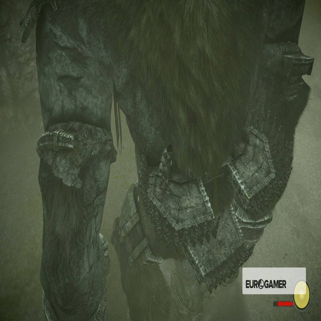 Shadow Of The Colossus: Locations And Strategies For Colossi 1-4