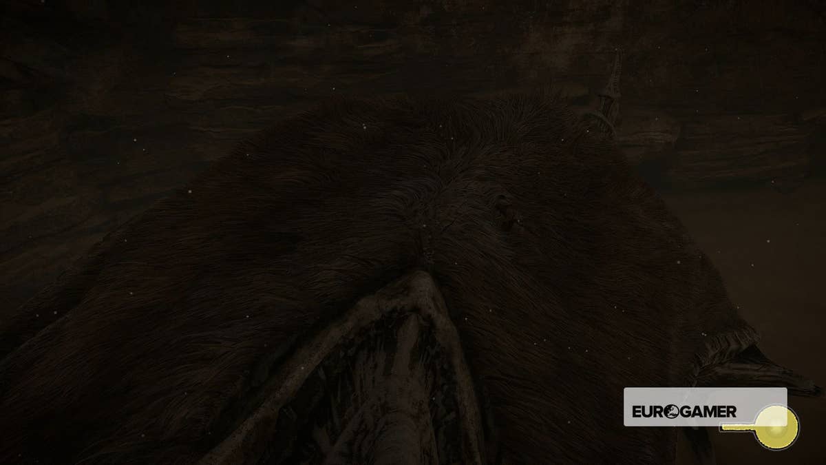 Shadow Of The Colossus 10th Colossus