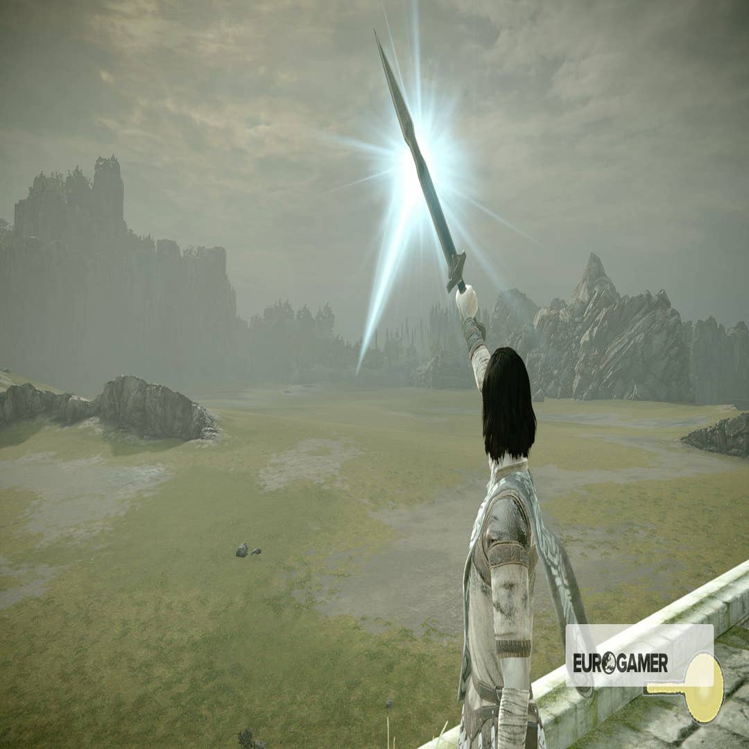 Shadow of the Colossus - Fãs