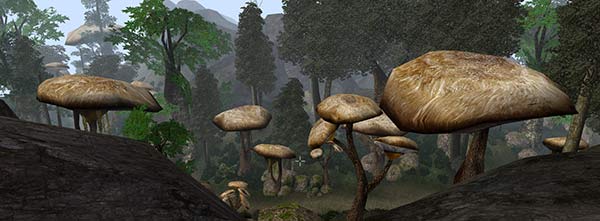 A Fool In Morrowind, Day 2 - Granny