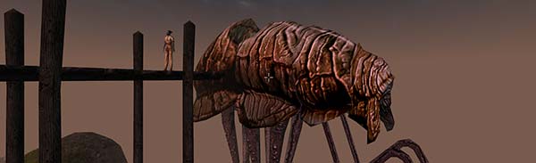 A Fool In Morrowind, Day 5 - Big Jobs