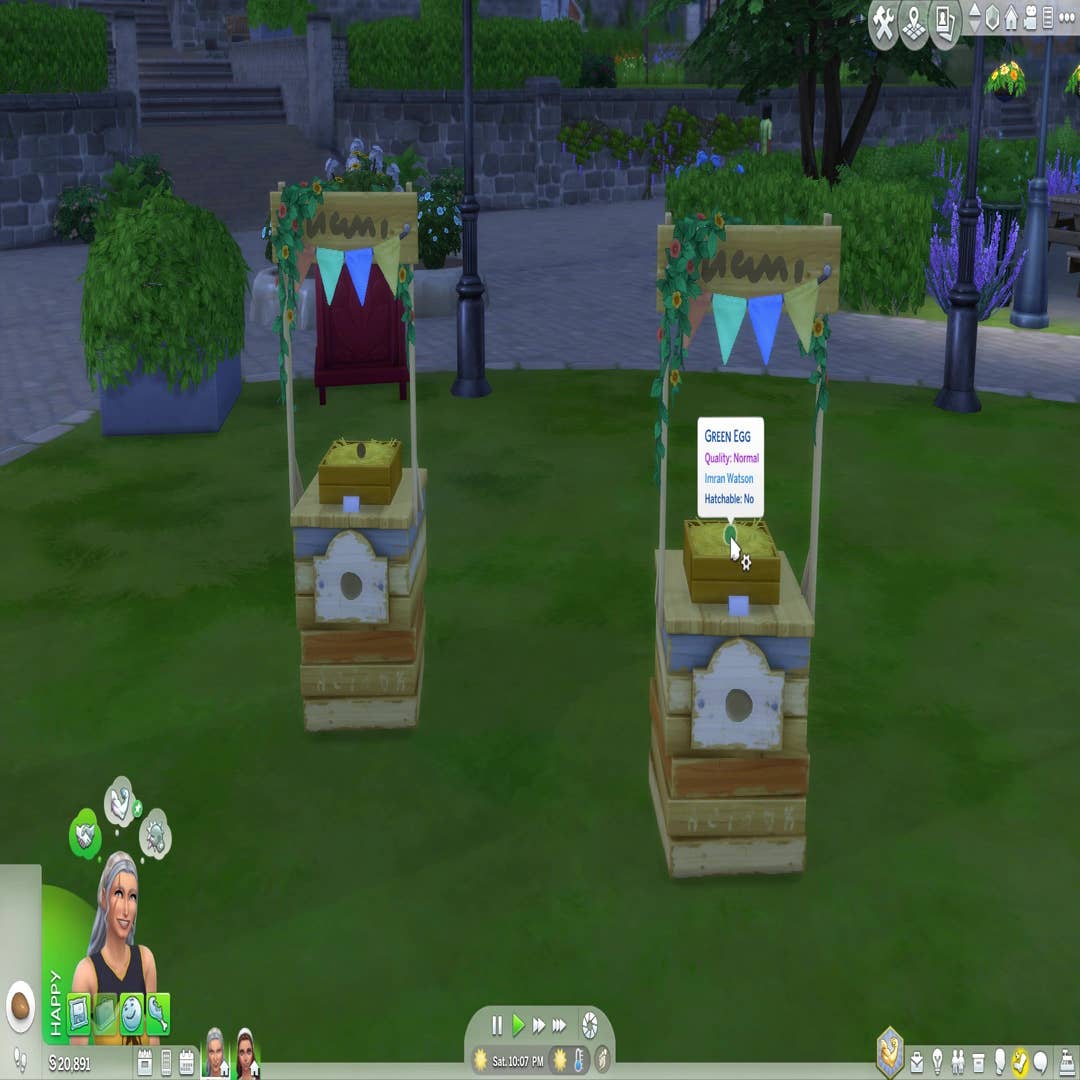 Sims 4 Cottage Living Cheats: How to Spawn Animals. Change Animal  Relationships & More