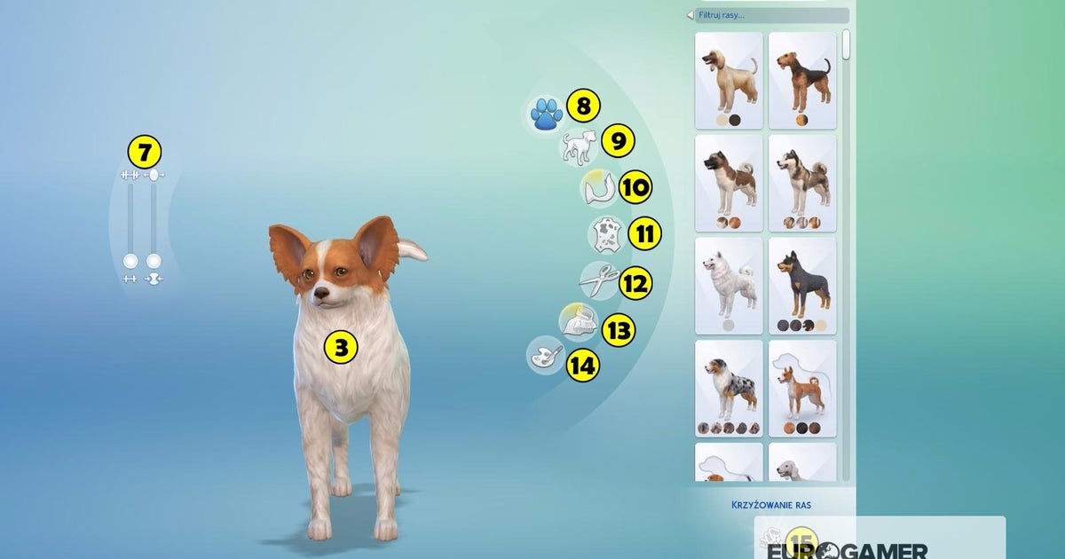 Jak Adoptować Psa W The Sims 4 Sims 4: Psy i koty - tworzenie zwierząt | Eurogamer.pl