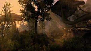 Skywind shines in this stunning gameplay video showcasing the Morrowind mod project