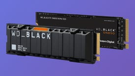 WD Black SN850 with heatsink SSD NVMe