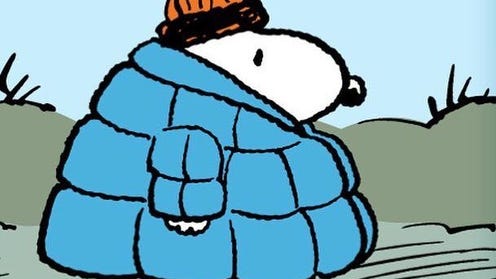 Snoopy wearing puffer jacket
