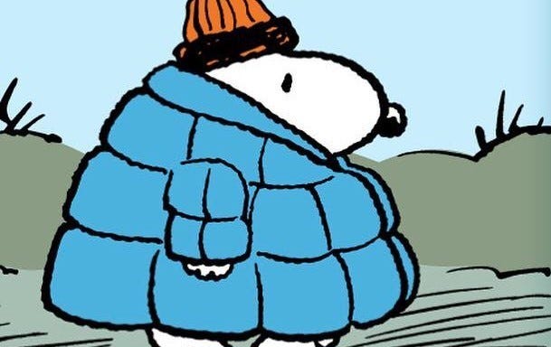 Snoopy wearing puffer jacket