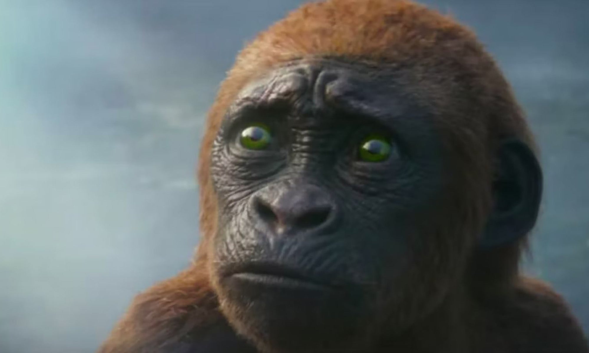 After Godzilla x Kong, the next MonsterVerse movie could be Son of Kong