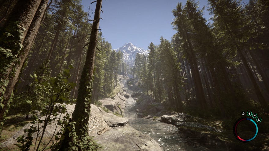 Looking upstream to a mountain in a Sons Of The Forest screenshot.