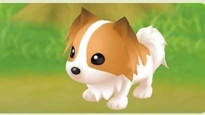 Steam Community :: Guide :: Guide to Stat Pets