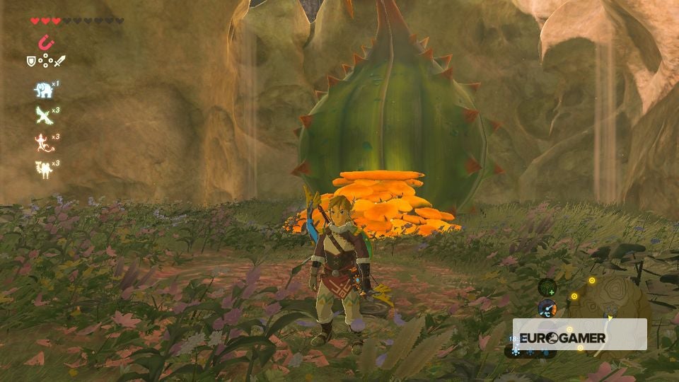 Zelda EX Ancient Horse Rumors How to get the Ancient Bridle and