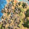 Age of Empires II: Definitive Edition screenshot