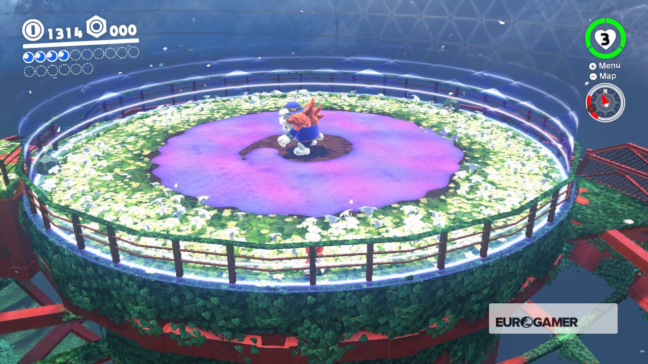 Super Mario Odyssey Flower Thieves of Sky Garden and how to beat the Fat Broodal