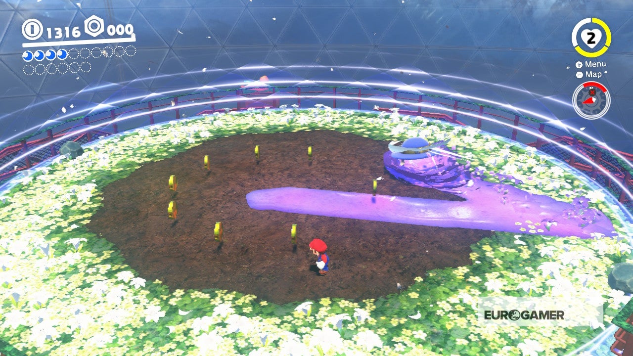 Super Mario Odyssey Flower Thieves of Sky Garden and how to beat the Fat Broodal