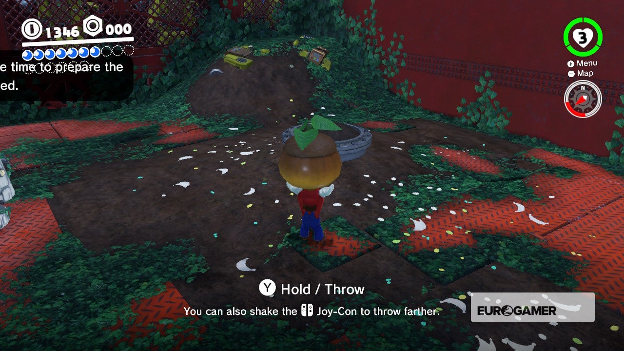 Super Mario Odyssey Pass to the Secret Flower Field and Defend the Secret Flower Field