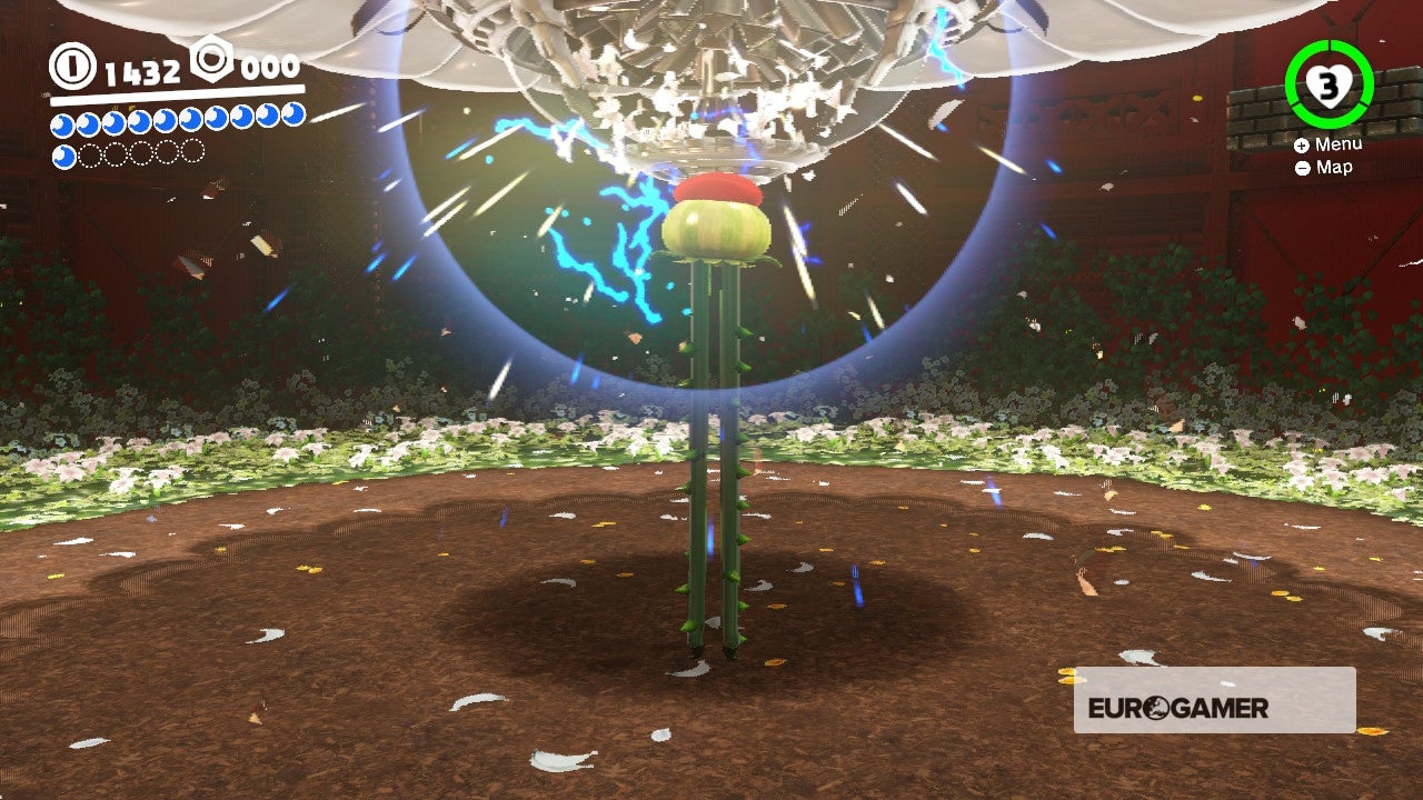 Super Mario Odyssey Pass to the Secret Flower Field and Defend the Secret Flower Field