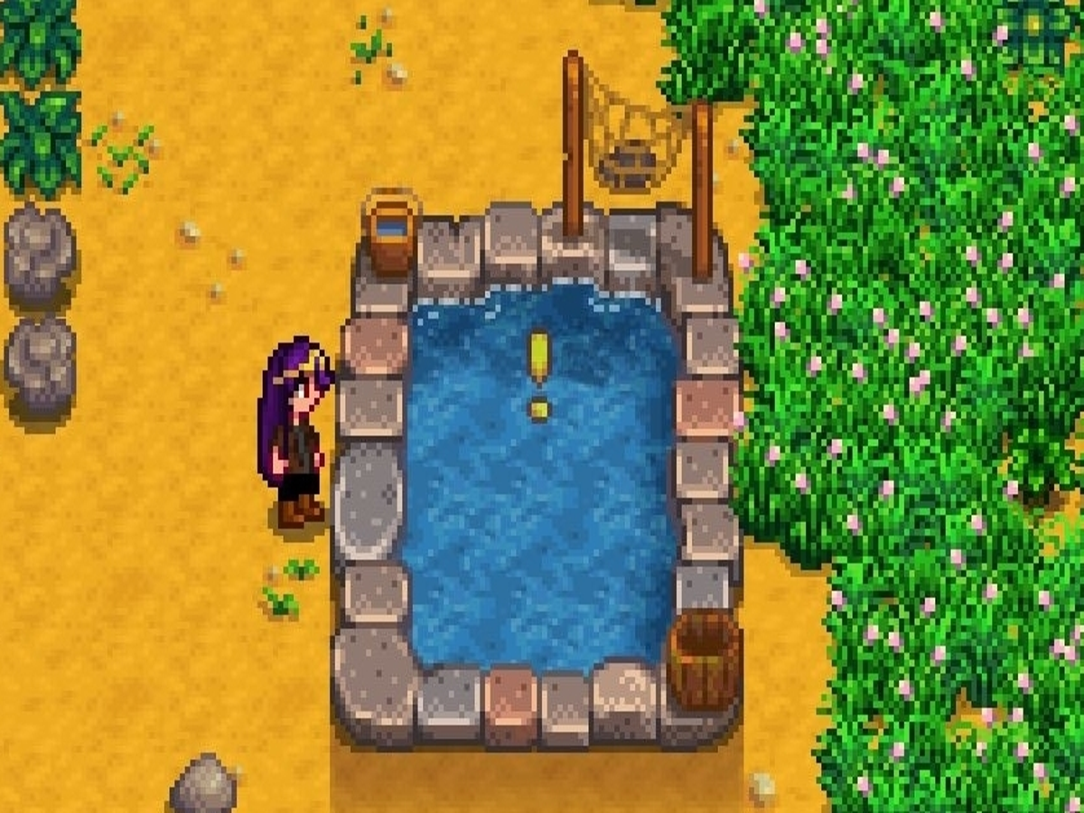 Stardew Valley: Complete Guide To Fish Ponds