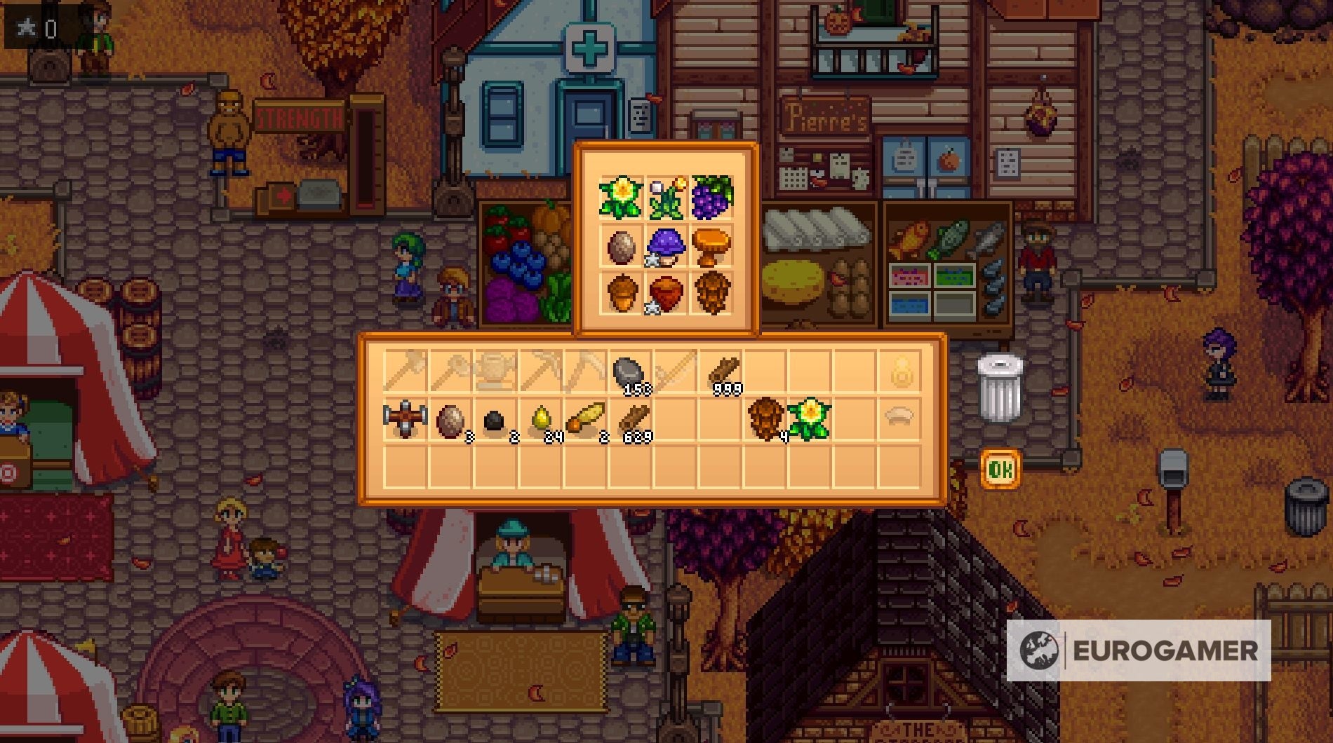 Stardew Valley Stardew Valley Fair Including Grange Display And Star   Stardew Valley Festival 31 