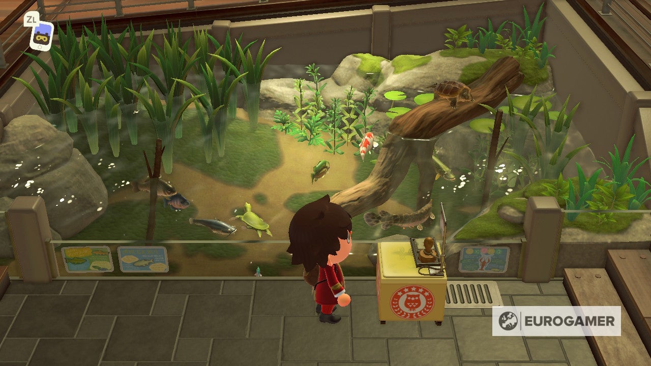 Animal Crossing New Horizons Stempeljagd im Museum, Fundorte der