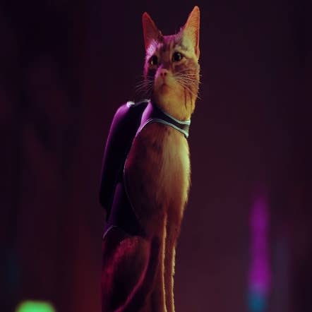 Stray permite que você encarne um gato e explore uma cidade futurista no PS5