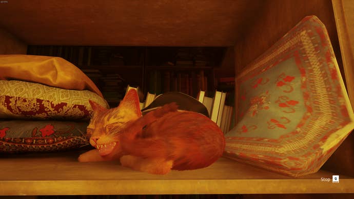 The Outsider, a cat, has a catnap on a bookshelf in The Rooftops of Stray.