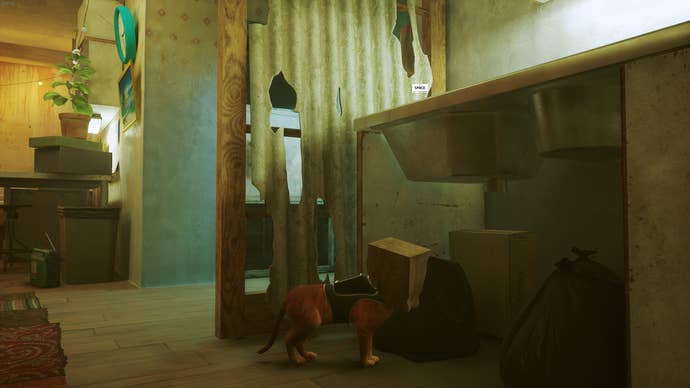 The Outsider, a cat, has a paper bag on their head after finding it in Elliot's flat in Stray.