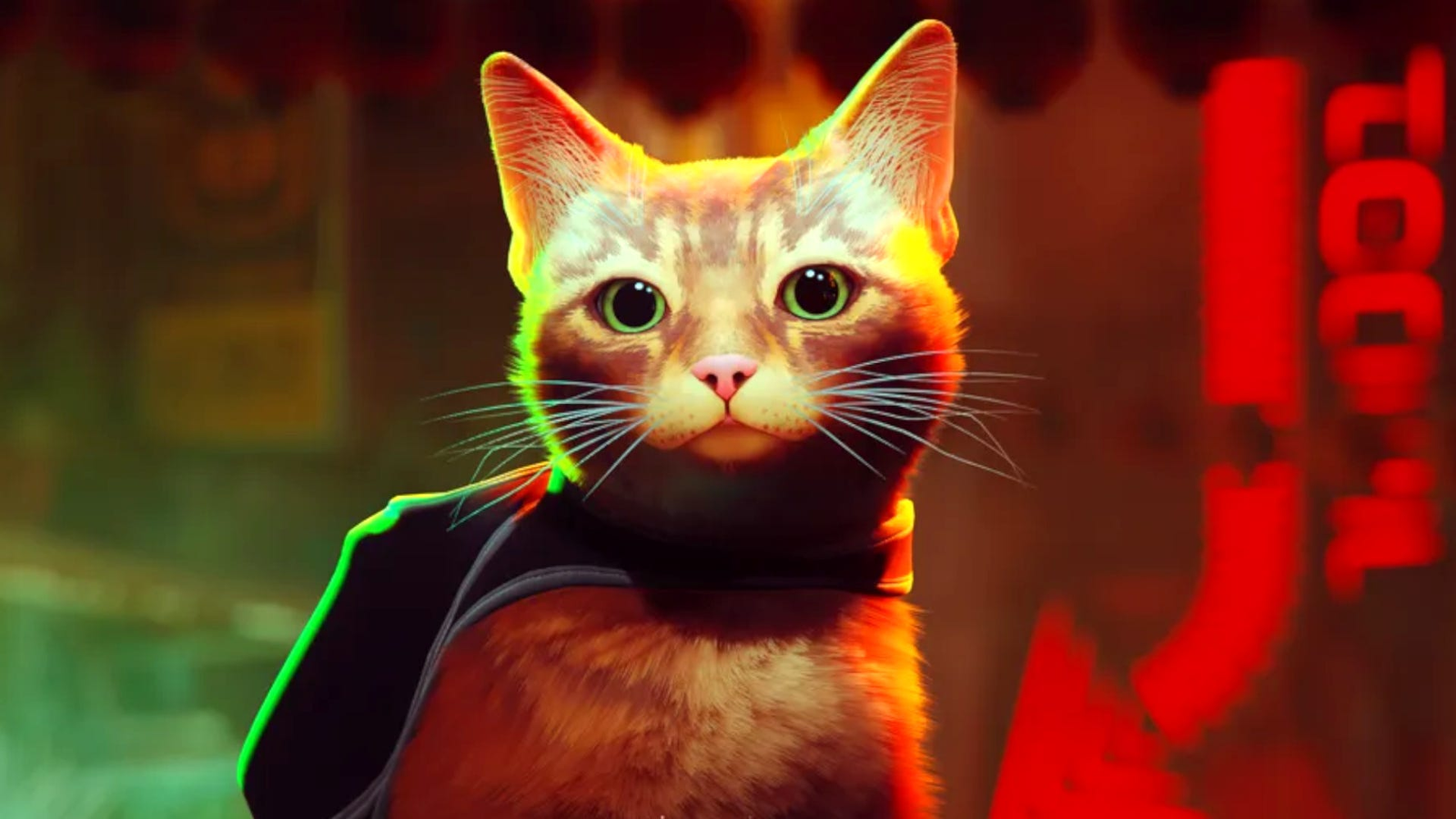 Stray: Jogo do gato terá animação pelo estúdio de Nimona