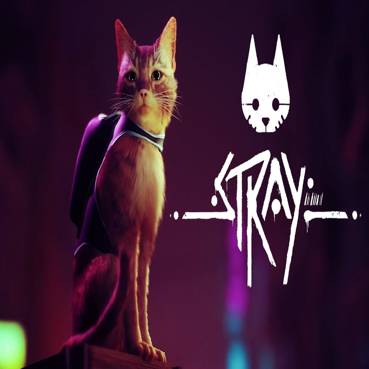 Stray, o “jogo do gato”, e mais títulos chegam hoje ao PlayStation