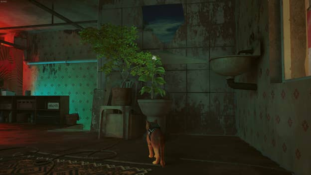 The cat looks at a plant growing from an old toilet in Elliot's flat in Stray.