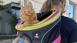 Anunciada una mochila para transportar gatos oficial de Stray