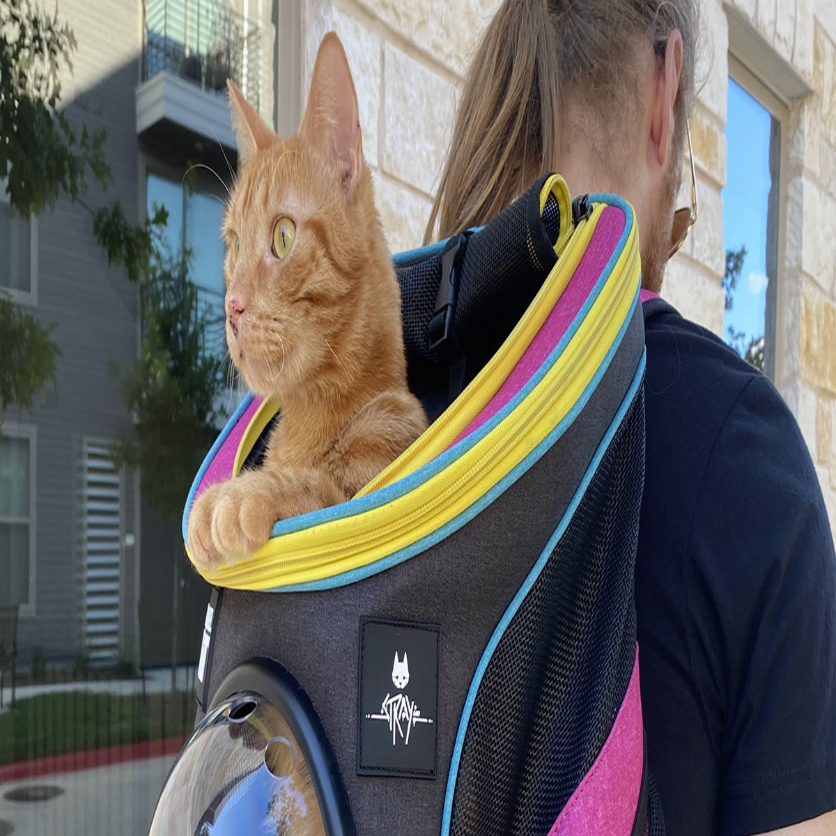 These Stray-Branded Accessories Let You Transport Your Cat With Futuristic  Flair - Game Informer