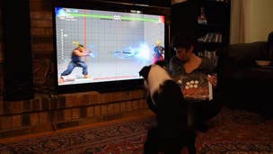 Excellent dog pulls off a Hadoken in Street Fighter 5