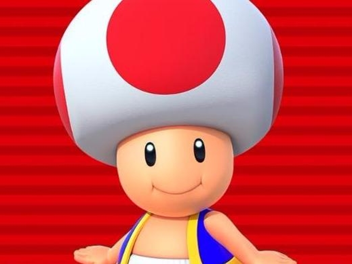 Toad Rose Pink Toad From Mario