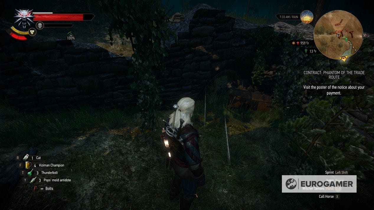 The Witcher 3 Feline gear: How to get all Feline armor and Feline sword ...