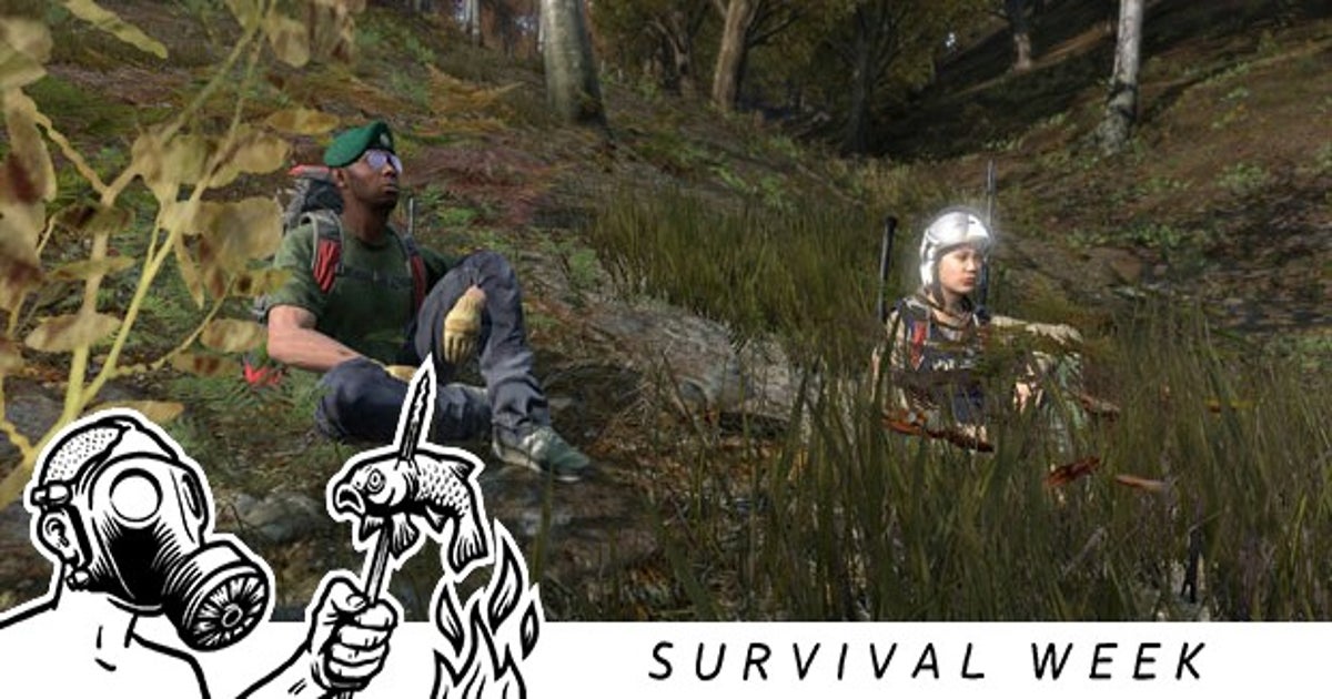 DAYZ PS4/PS5 Survival