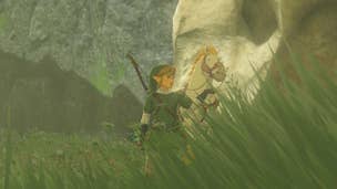 Tears of the Kingdom Great White Stallion: An anime man in a green tunic, green cap, and beige trousers is standing in a grassy clearing. He holds his left hand out, palm upward, gesturing toward a large white horse