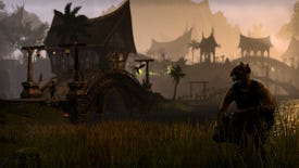 Zenimax: Elder Scrolls Online Will Become More Open
