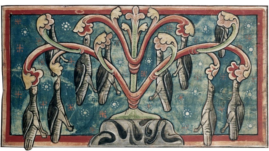 A medieval manuscript illustration of geese growing from barnacles, as seen on The Barnacle Goose Experiment's title art.