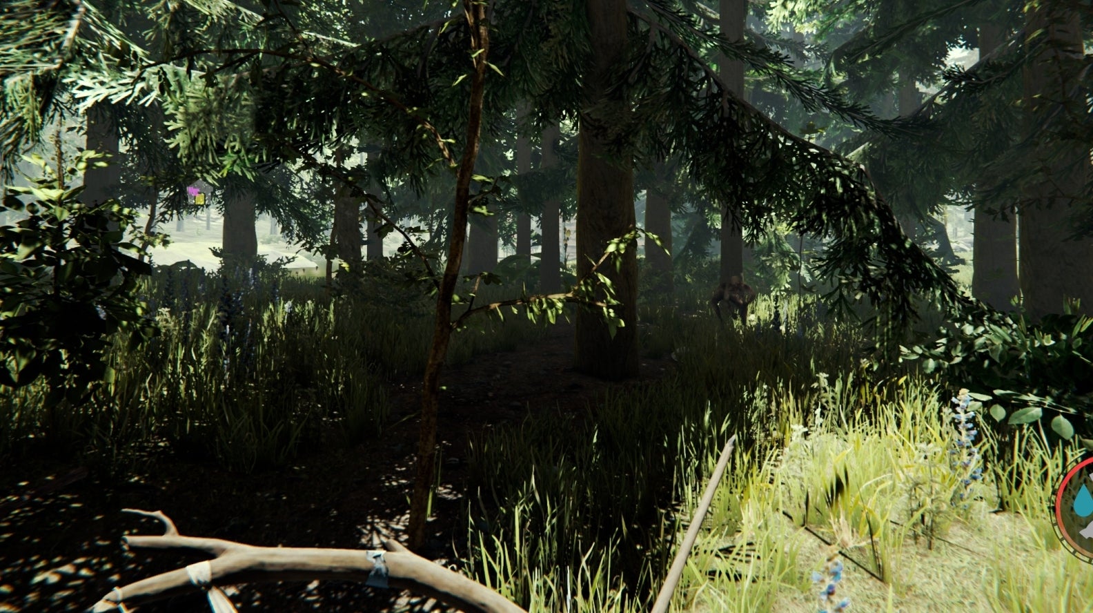 The Forest - Test | Eurogamer.de