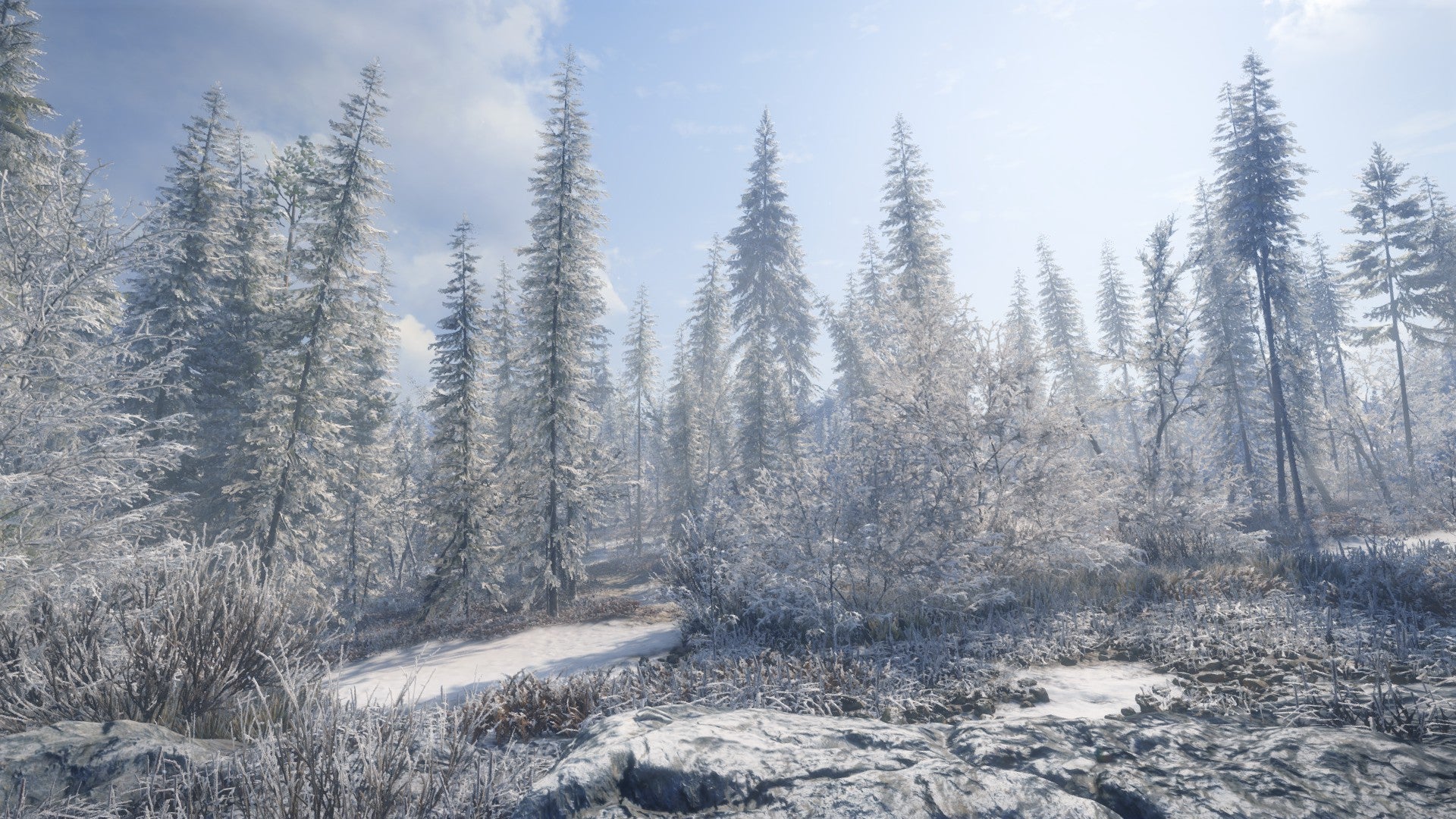 Image for Photographing invisible animals in theHunter: Call of the Wild