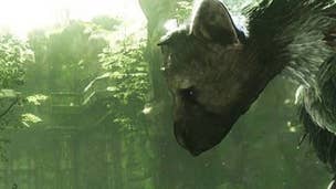 Image for The Last Guardian in "earnest" development but not a "priority" at present, says Ueda 