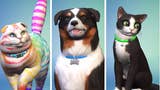 Dodatek Psy i Koty do The Sims 4 pozwoli stworzyć własnego zwierzaka