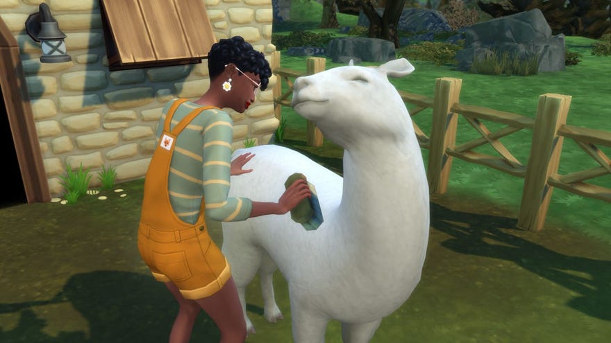 A female Sim, with dark skin, short cropped hair and wearing yellow dungaree shorts, brushes clean her llama. The llama looks incredibly happy.