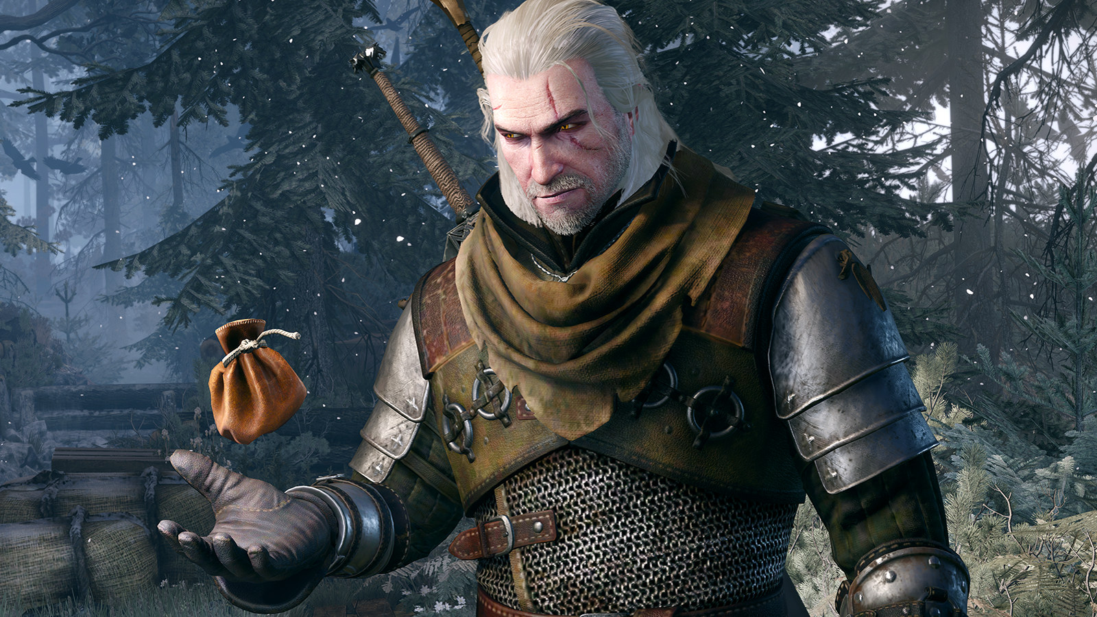 The Witcher 3 Player May Have Just Discovered a New Feature Six Years Later