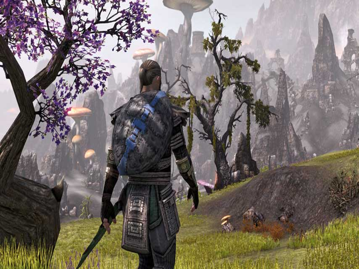 Playing The Elder Scrolls Online single-player is like discovering