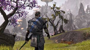 Image for The Elder Scrolls Online: Skyrim skin can't make up for MMORPG mediocrities