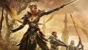 Image for The Elder Scrolls Online might not release on PS4 & Xbox One this year