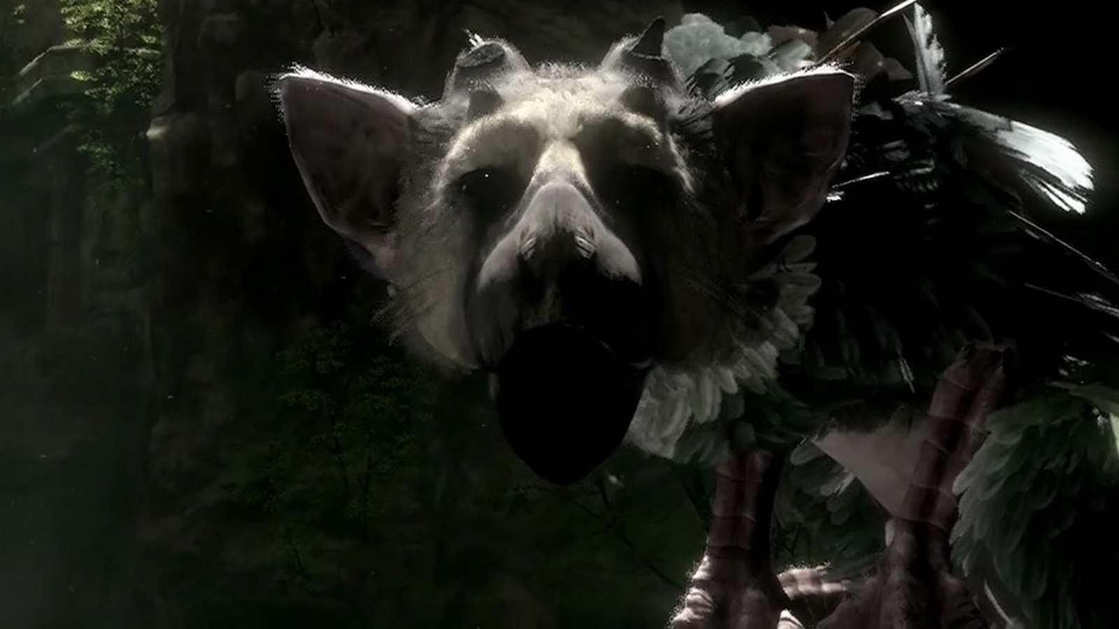 The Last Guardian lives, will hit PlayStation 4 next year【E3 2015】