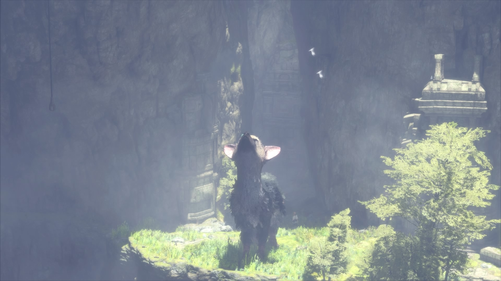 The Last Guardian Guide Part 3: Forest, Stained Glass, Magical